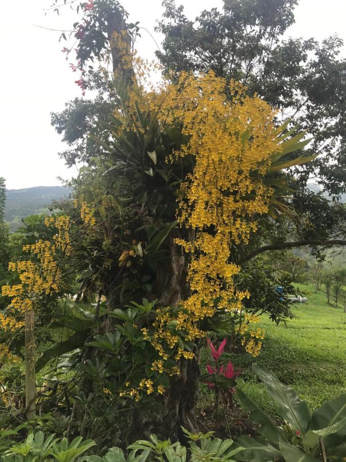 Posada Del Camino Real ξενώνας Moniquirá Εξωτερικό φωτογραφία