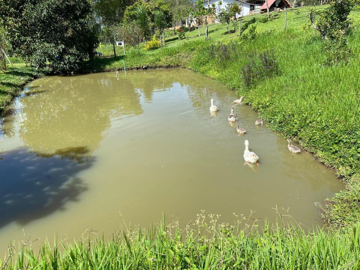 Posada Del Camino Real ξενώνας Moniquirá Εξωτερικό φωτογραφία