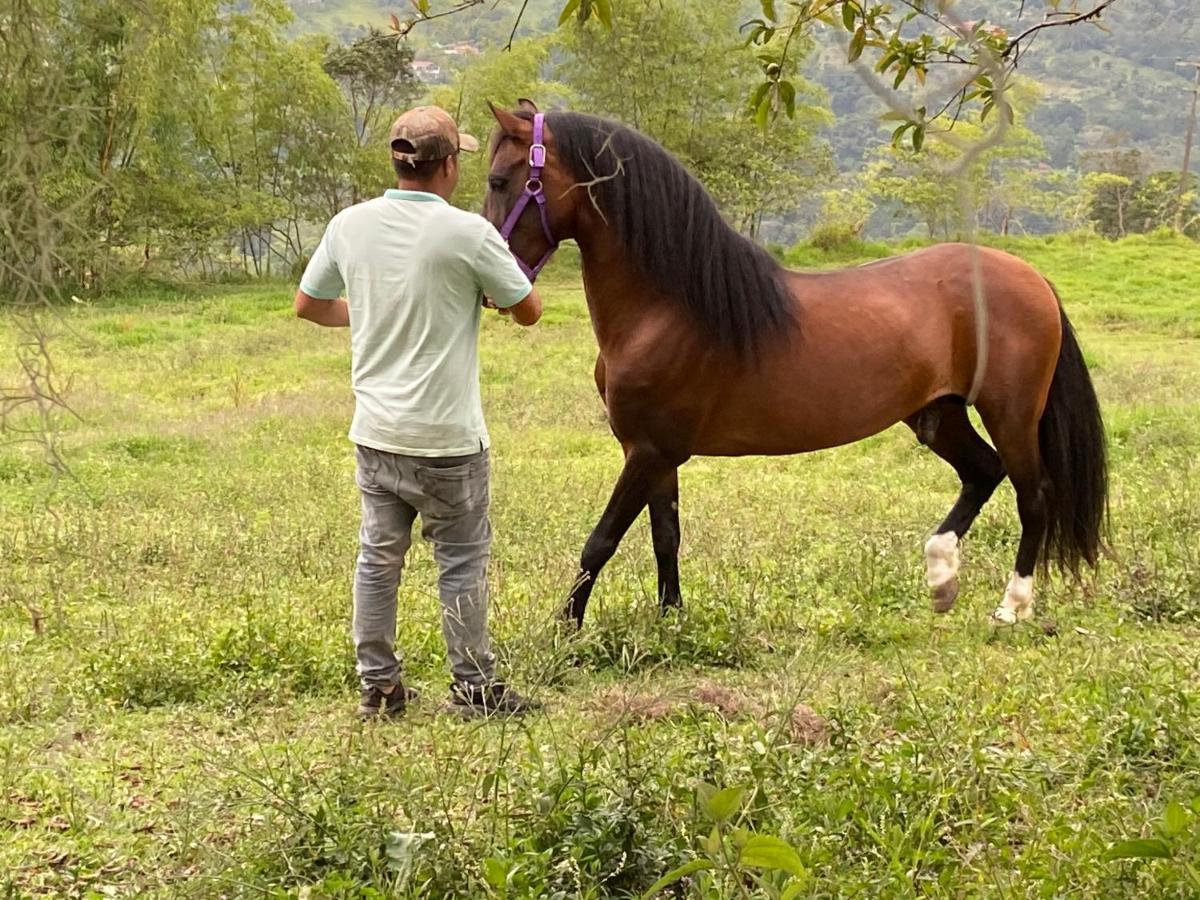 Posada Del Camino Real ξενώνας Moniquirá Εξωτερικό φωτογραφία